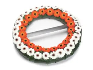 גלגל אבל שתי שורות