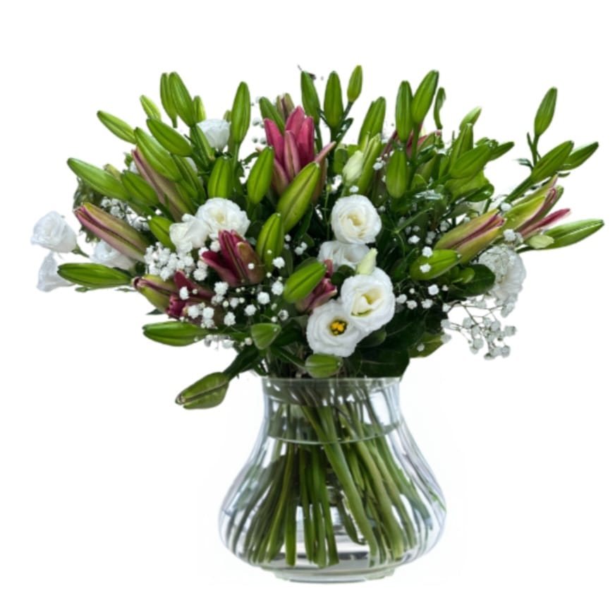 זר לחישת המשי